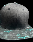 DP Flatbill Black / Teal